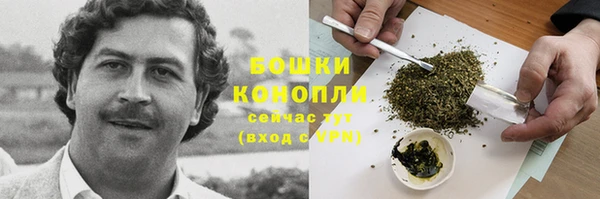 мескалин Карпинск