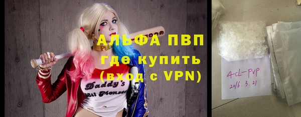 сатива Карталы