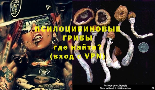 эйфоретик Касимов