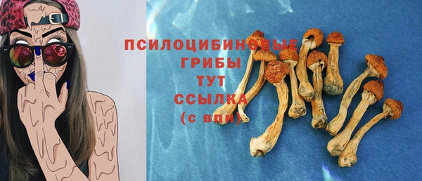 эйфоретик Касимов