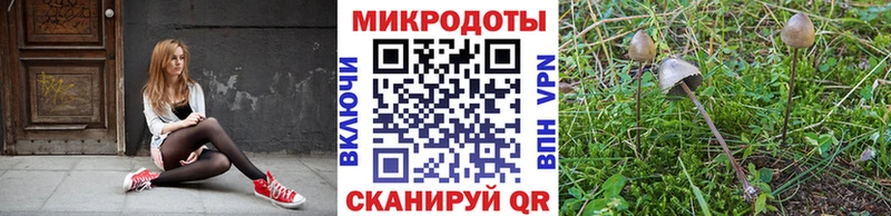 Галлюциногенные грибы мицелий  shop клад  Нурлат 