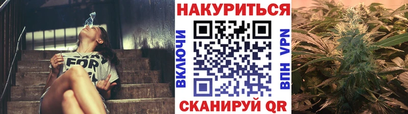 где купить   Нурлат  Бошки Шишки семена 